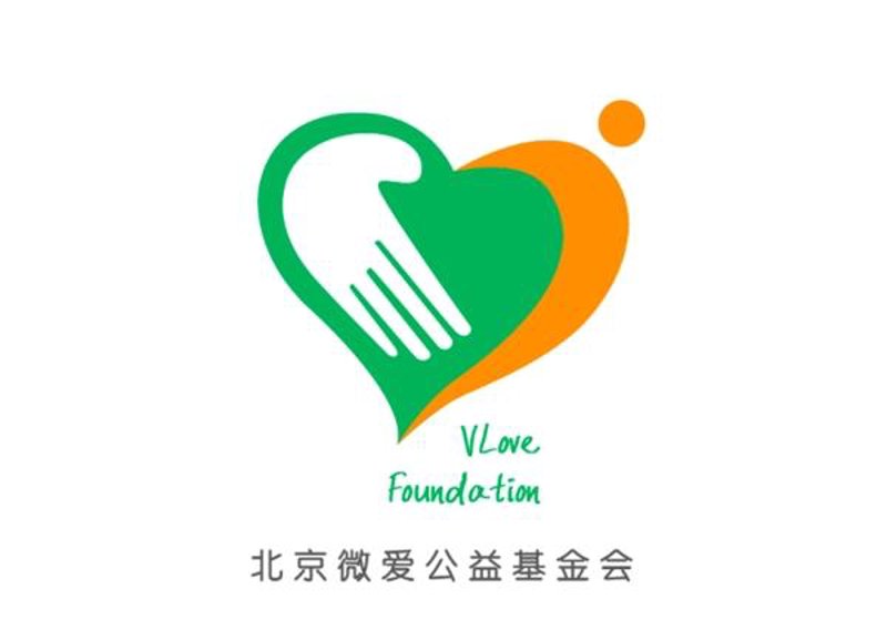 公益基金会在社会中的角色与影响